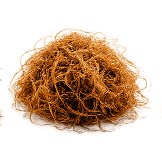 Coir Fibre